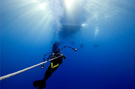 This image was taken during a Tiger/Great Hammerhead Shar... by Karl Dietz 
