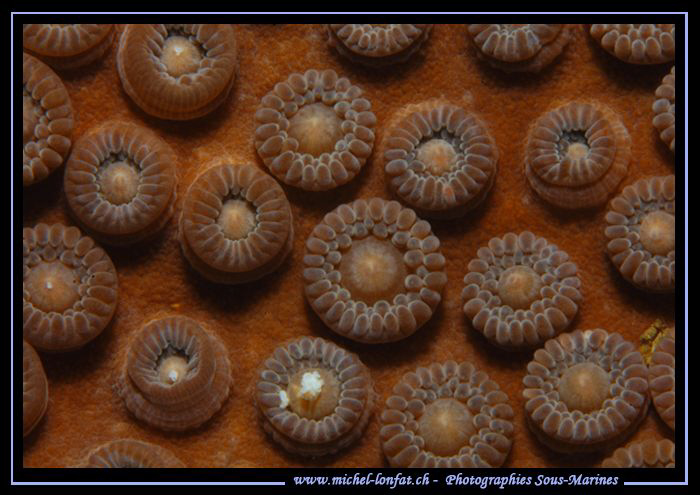 Patterns in the water's of Lembeh Strait... :O) by Michel Lonfat 