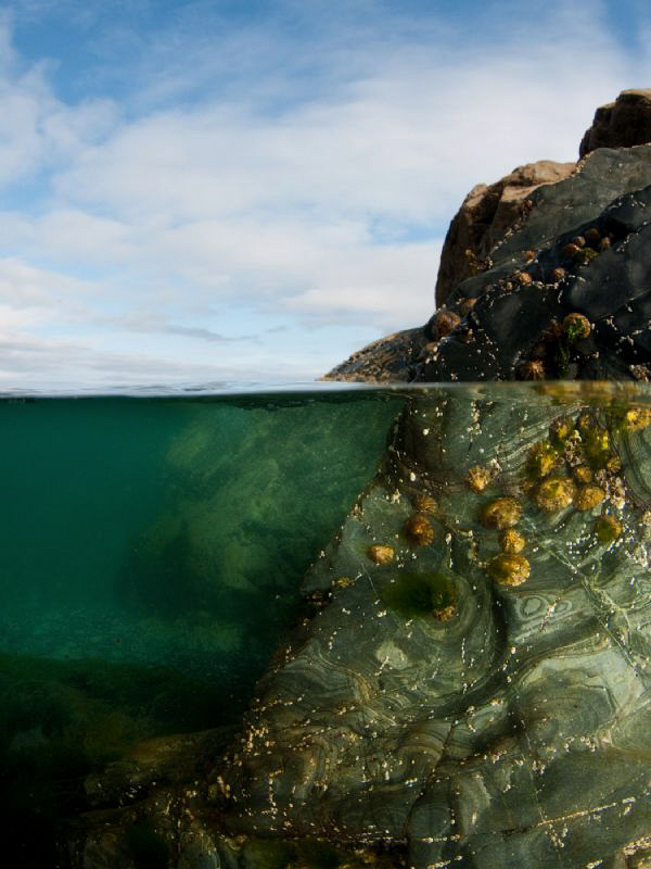 Cornish coastline near Porthkerris by Paul Colley 