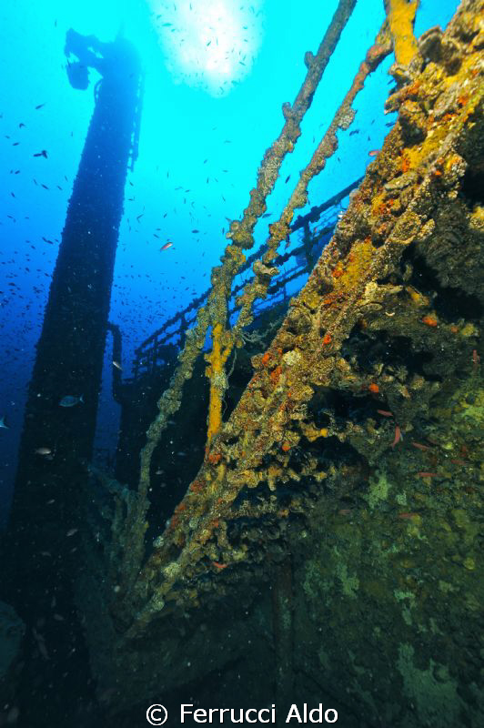 Photos take on Milford Haven wreck near Genoa.
I used my... by Ferrucci Aldo 