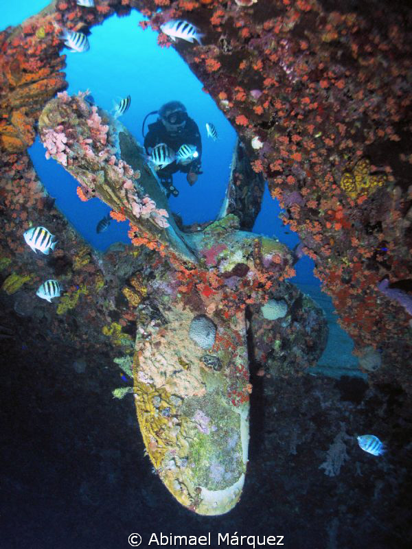 Evelio at Hilma Hooker, Bonaire. by Abimael Márquez 