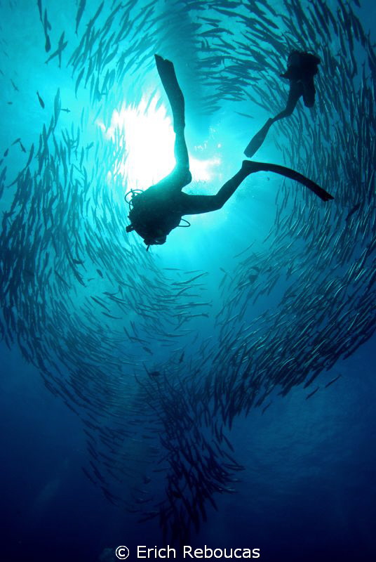 Barracuda show by Erich Reboucas 
