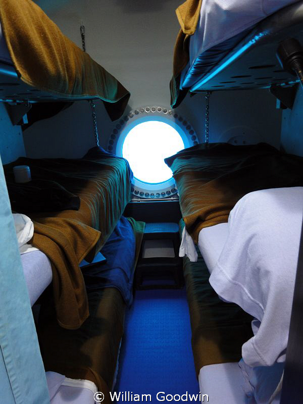 In air but definitely not "Topside." Taken inside the Aqu... by William Goodwin 