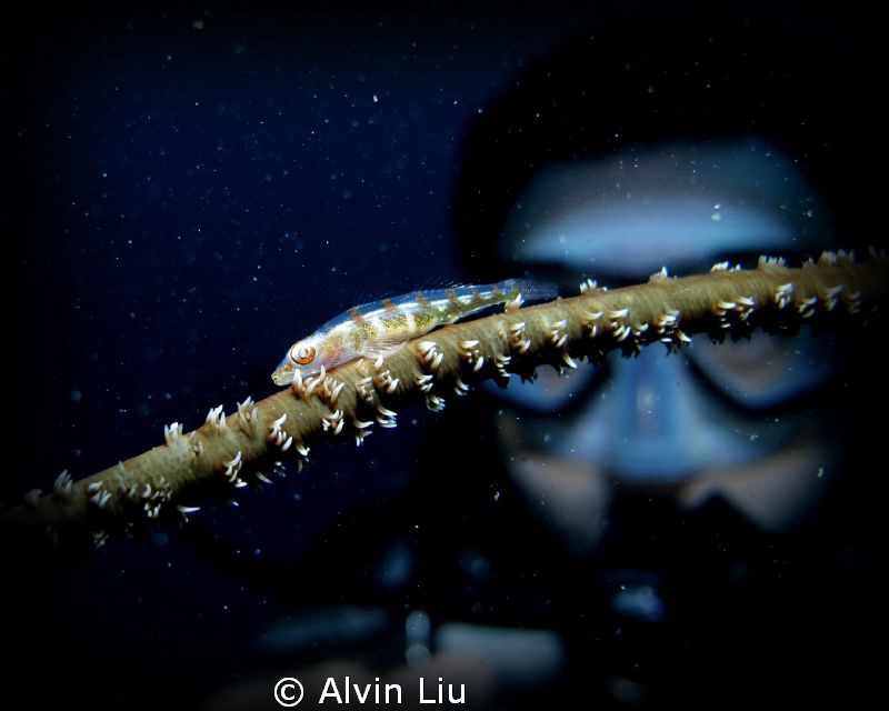 I shooted this by accident when My Buddy wanted to prepar... by Alvin Liu 