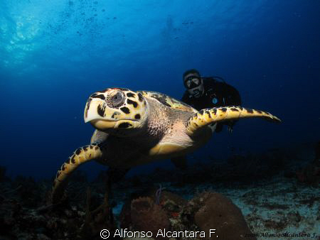 Tormentos Wall,Cozumel Island,Mexico.  Using Canon G10, h... by Alfonso Alcantara F. 