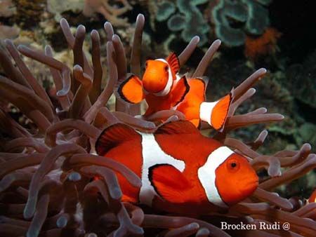 Taken in Cebu filippijnen by Brocken Rudi 