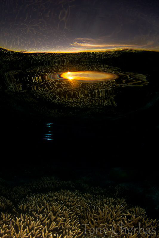 Sunset Through a Reflection by Tony Cherbas 
