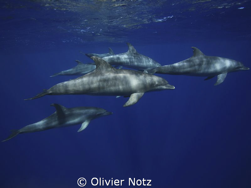 Fortunately, the visibility was geat that day... by Olivier Notz 
