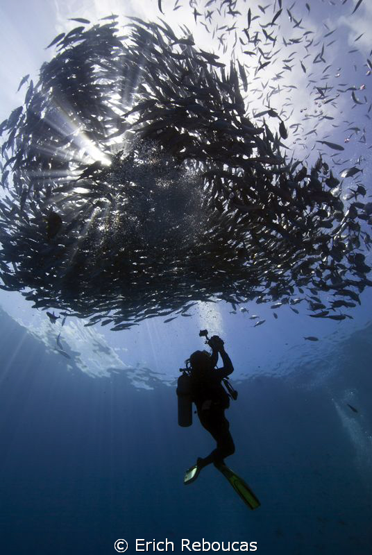 Photographer and schooling jacks at Sipadan by Erich Reboucas 