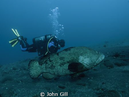 snapped this image of my buddy with a fair sized cod(?) a... by John Gill 