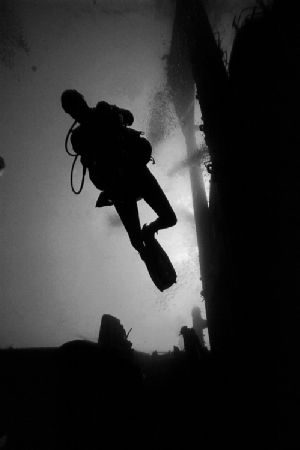 lurking Red sea 2004
Sea&Sea NX100 Nikon F100 Nikkor 20m... by Gavin Skipp 