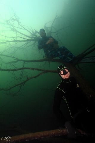 freedivers on the tree by Veronika Matějková 