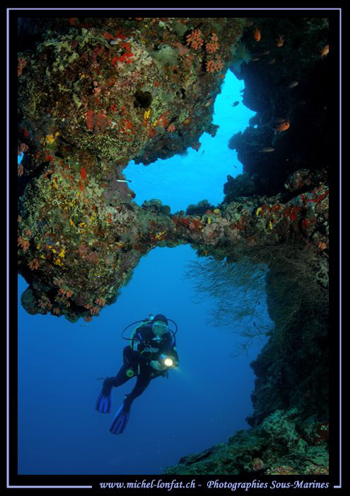 Discovering the Indian Ocean.... by Michel Lonfat 