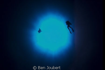 Equipment used, Canon 5D, Ikelite housing, 10mm lens. I w... by Ben Joubert 
