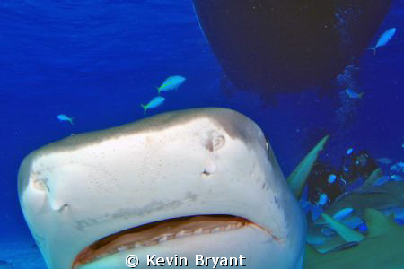 I think that's Mr. Abernethy in the background - getting ... by Kevin Bryant 
