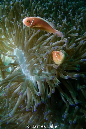I love the light in this photo by James Laker 