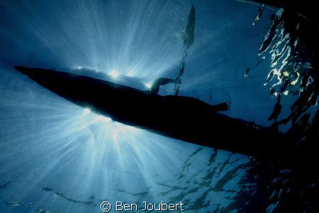 Locals join us all day, every day to see what we do. This... by Ben Joubert 