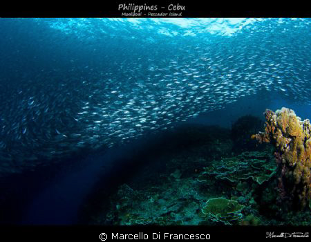 Pescador island view by Marcello Di Francesco 