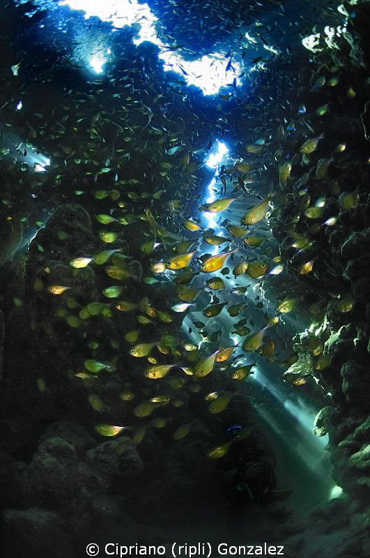 The cave of the golden treasure by Cipriano (ripli) Gonzalez 