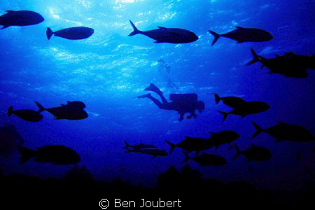 Just go with the flow... by Ben Joubert 