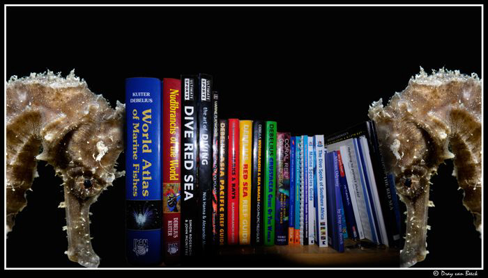 They come in quit handy  those seahorses... by Dray Van Beeck 