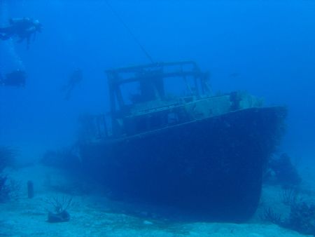 Theo's Wreck Bahamas by Kelly N. Saunders 