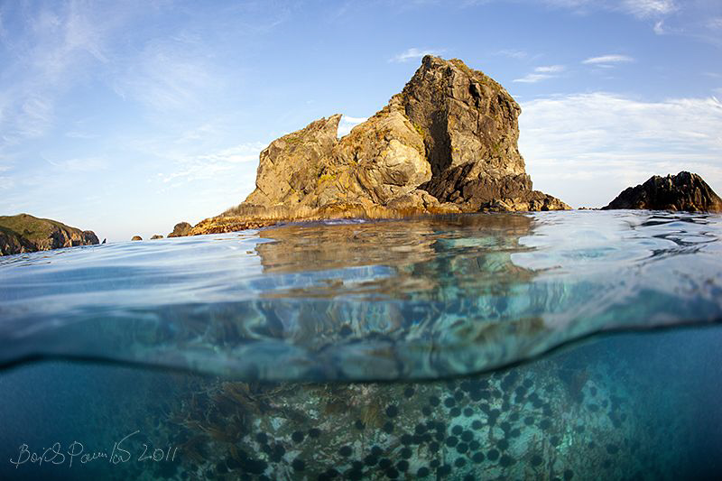 Iretskogo island near Putyatin island in sea of japan,
S... by Boris Pamikov 
