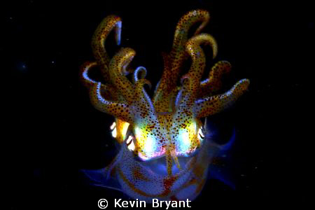 Pair by Kevin Bryant 