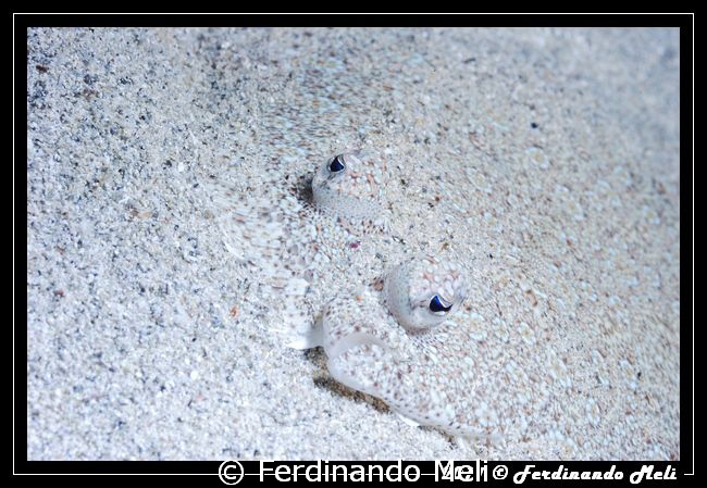 You see me or only my eyes? by Ferdinando Meli 