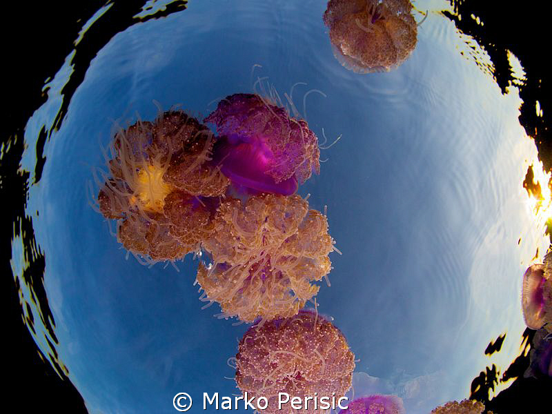 Bouquet by Marko Perisic 