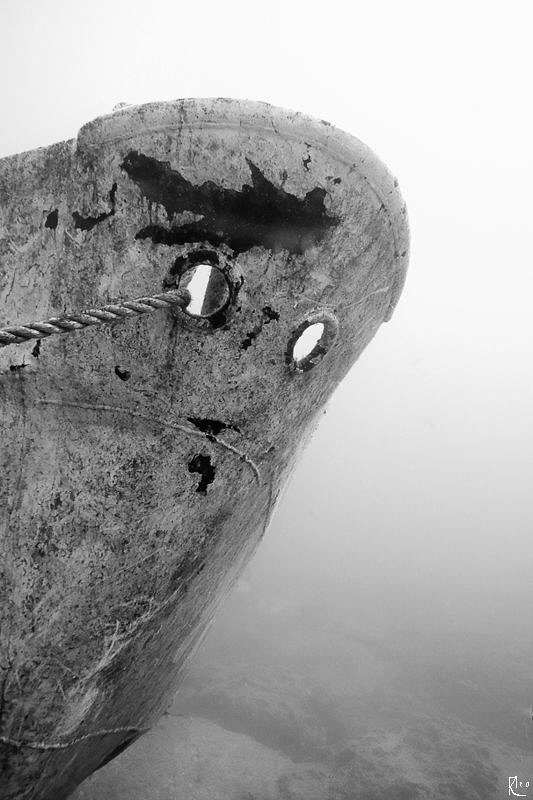 Ambient ( natural ) light wreck shot of the TC SG 119 pat... by Rico Besserdich 