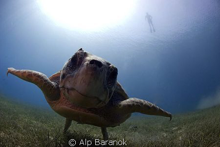 Taken with 10,5 mm with 2 Sea&Sea YS 110 strobe @ Antalya... by Alp Baranok 