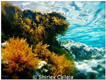 Image of Cirkewwa in Malta by Shirley Calleja 