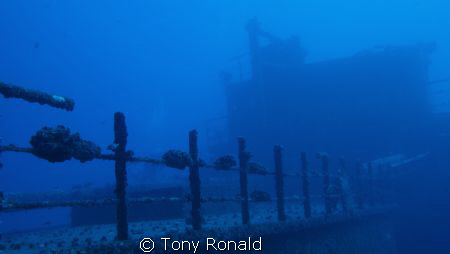 Wreck Dive South Oahu Hawaii by Tony Ronald 