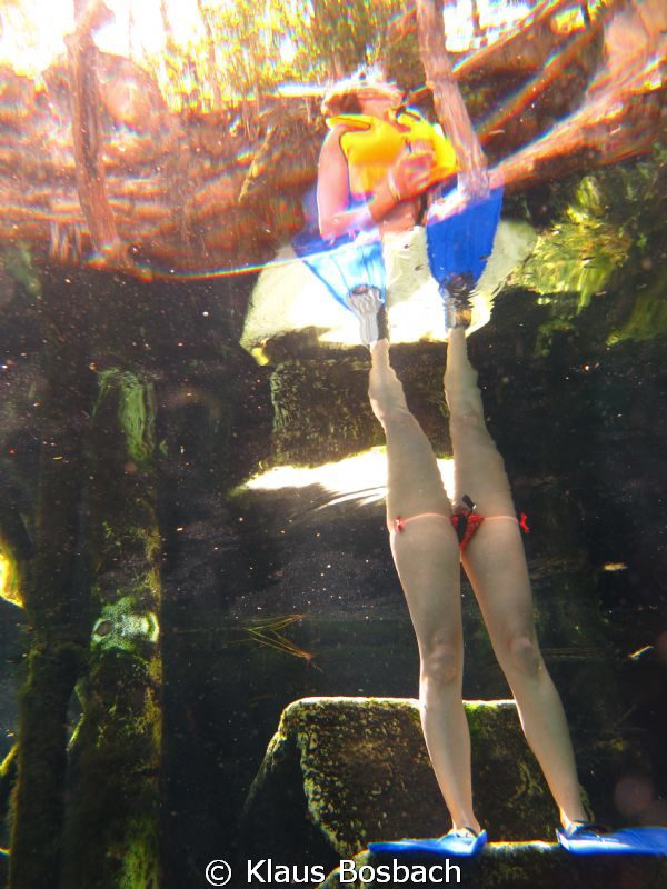 Strange creatures come to our Cenotes by Klaus Bosbach 