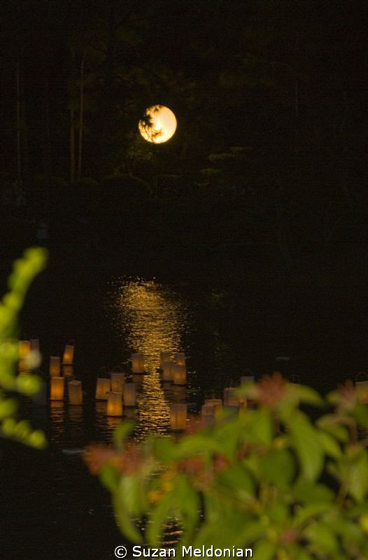 Japanese Bon Festival, releasing of the lanterns to honor... by Suzan Meldonian 