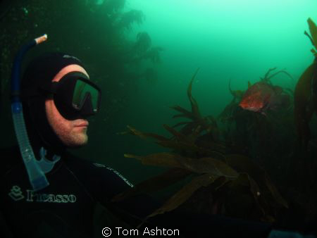Self portrait with a wrasse. Freediving, St Abbs, Scotland by Tom Ashton 
