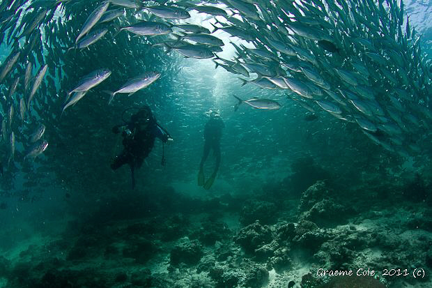 The reason why we keep coming back. by Graeme Cole 