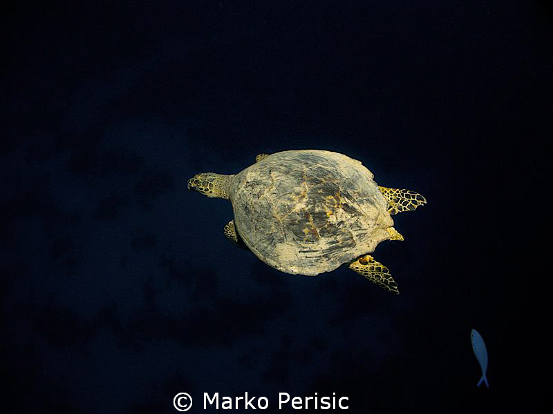 Breaking Rules by Marko Perisic 