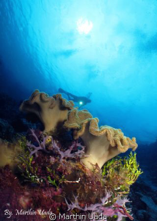 have shot with G12, with strobe ys90 ,, in wakatobi ,, wh... by Marthin Uada 