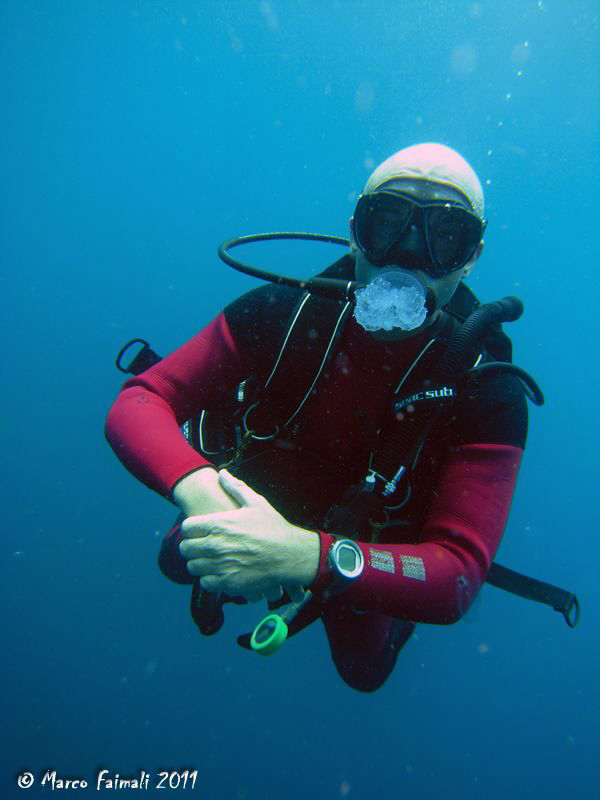 A new regulator model: the jelly-regulator!!! by Marco Faimali 