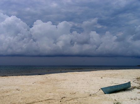 Roatan, Honduras. Olympus 5060 by Marc Burton 