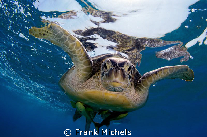 In Approach by Frank Michels 
