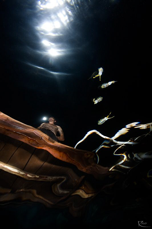 While I tried to capture a shot of these juvenile squids ... by Rico Besserdich 