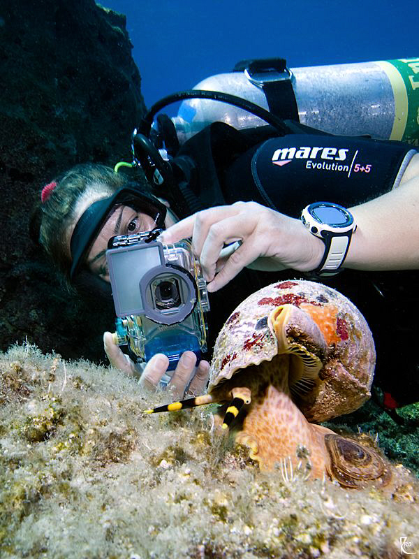 Underwater photographer @ work ;-) by Rico Besserdich 