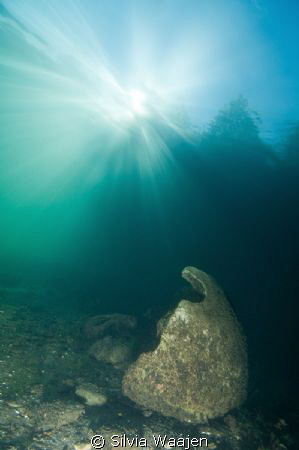 reefball in the sun by Silvia Waajen 