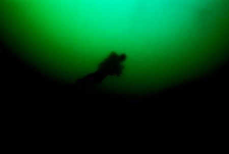 "A real pea souper"
Sea&Sea NX 100 Nikon F100
Fuji Velv... by Gavin Skipp 