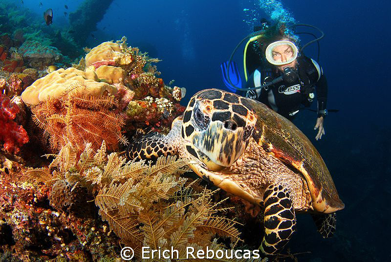 Turtle and old school (mask) diver by Erich Reboucas 