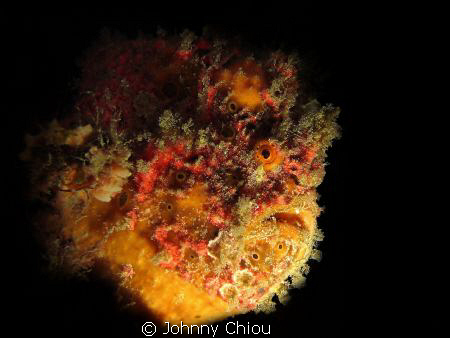 Ugly face in the dark by Johnny Chiou 