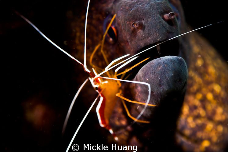 Ok, let me check it. by Mickle Huang 